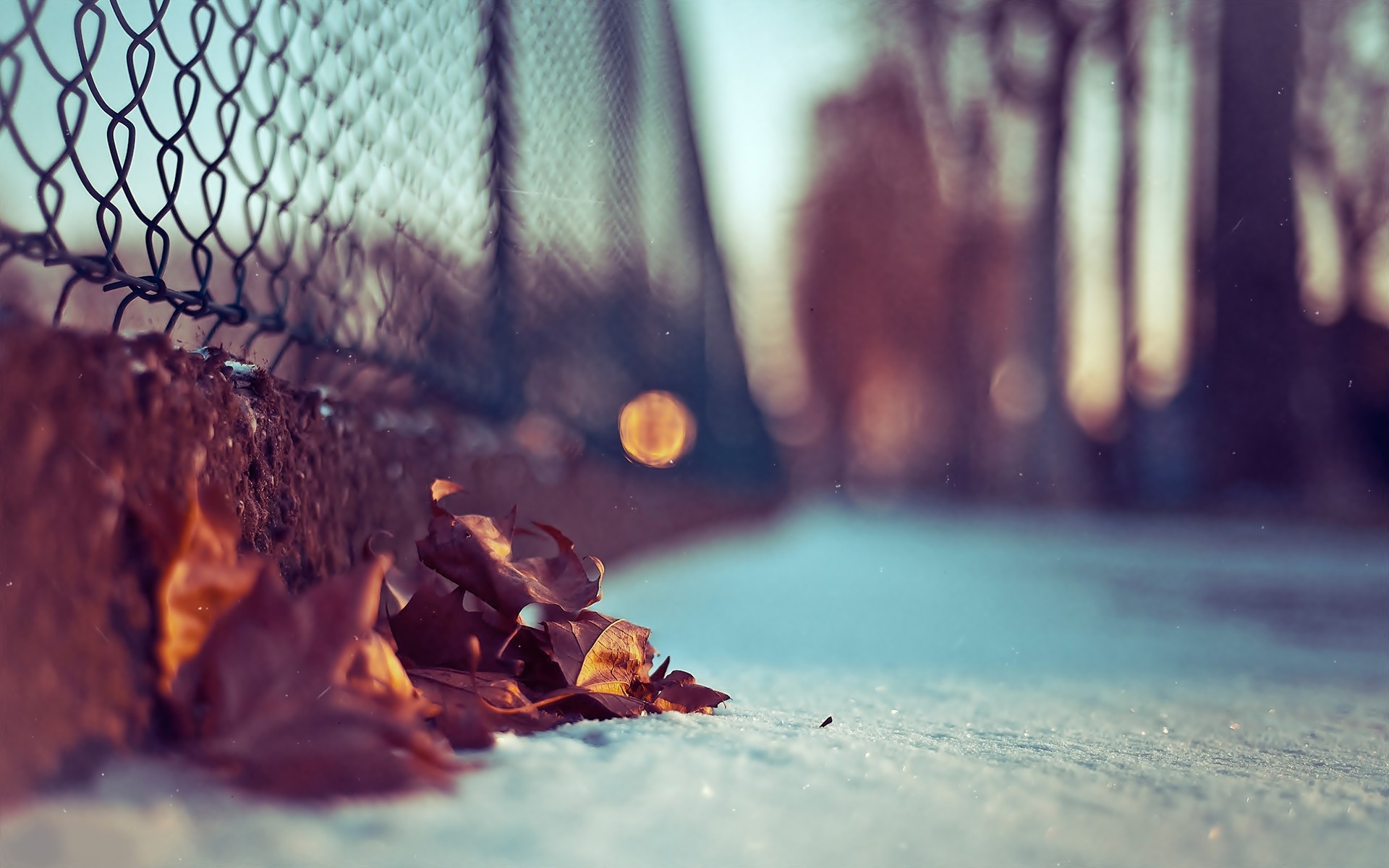 1920 x 1080 HD Wallpapers 1624